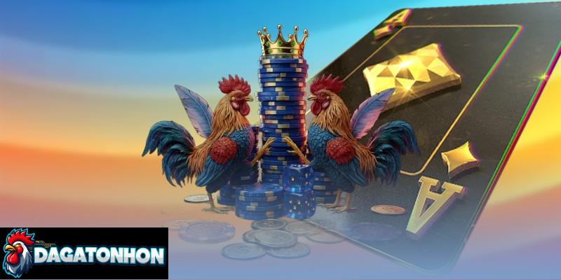 Các bí quyết nhận biết gà Tonhon có tiềm năng