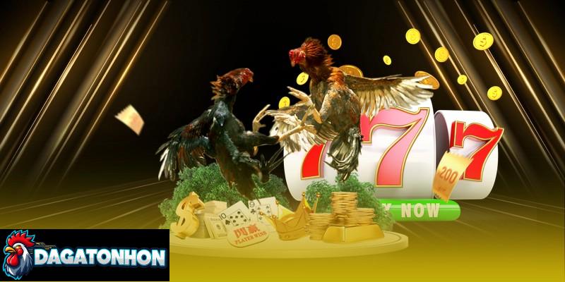 Chăm sóc kỹ chiến kê không bỏ bơ ngày nào