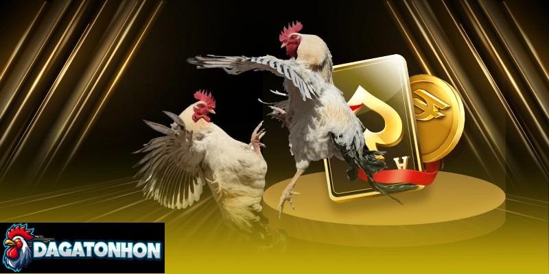 Chất lượng đường truyền phải ổn định xem trực tiếp chọi kê