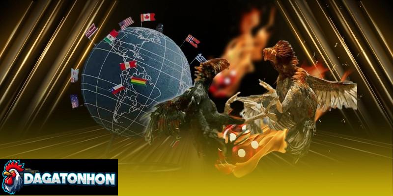 Chênh lệch thể hình và cân nặng ảnh hưởng kết quả trận chọi kê