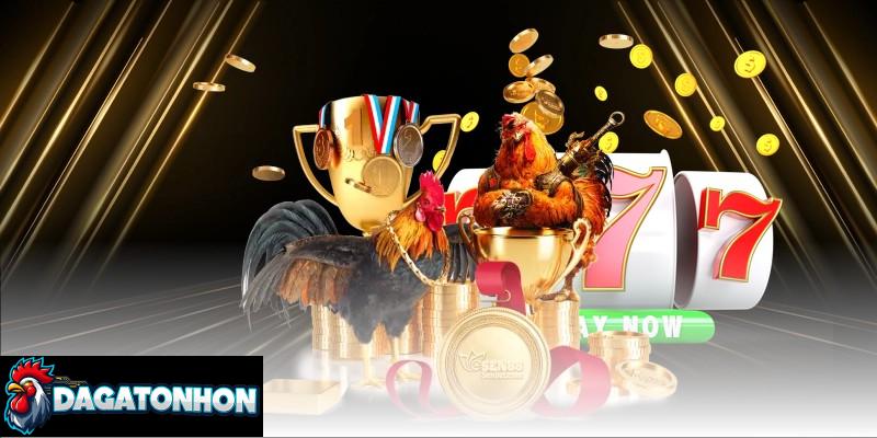 Chiến kê Tonhon dũng mãnh, phong độ thi đấu ổn định