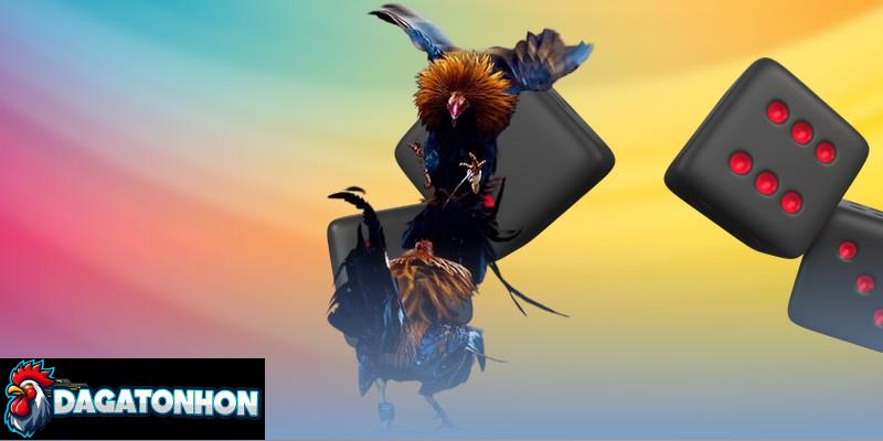 Có thời gian nghỉ giữa hiệp trong các trận chọi kê