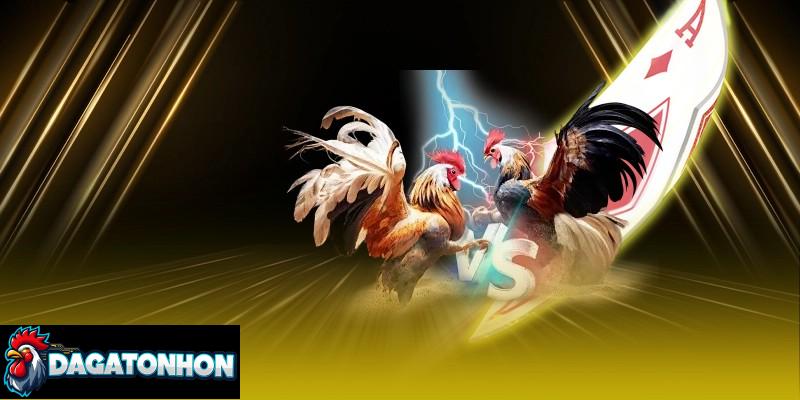 GAKING79 – Nền tảng thân thiện, nhiều kèo cược và minh bạch