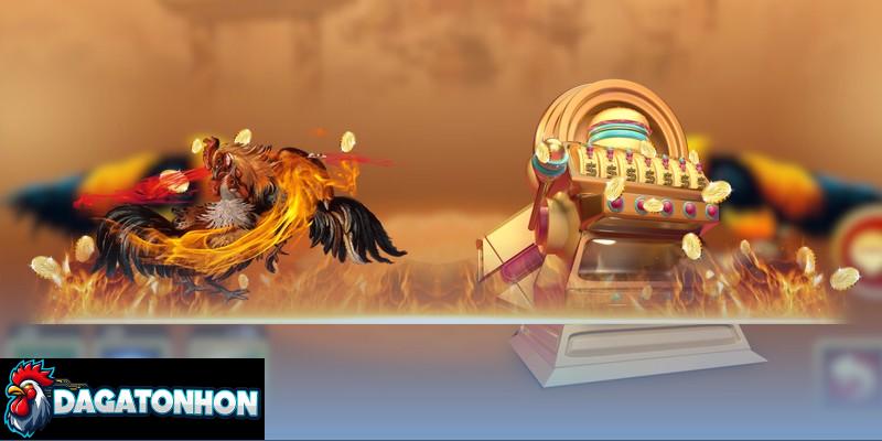 Hướng dẫn đọc kèo đá gà Tonhon