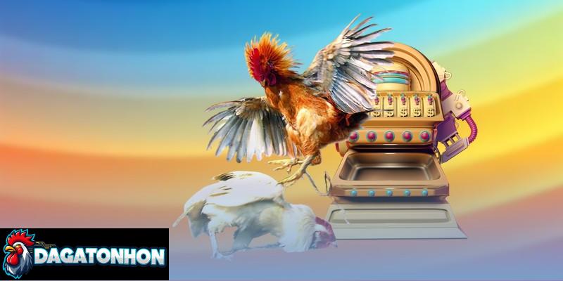 Link xem đá gà Tonhon không bị chặn, an toàn cho hội viên