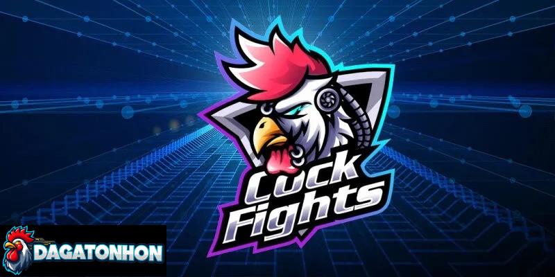 Luật đá gà Tonhon và Thomo có nhiều điểm giống nhau