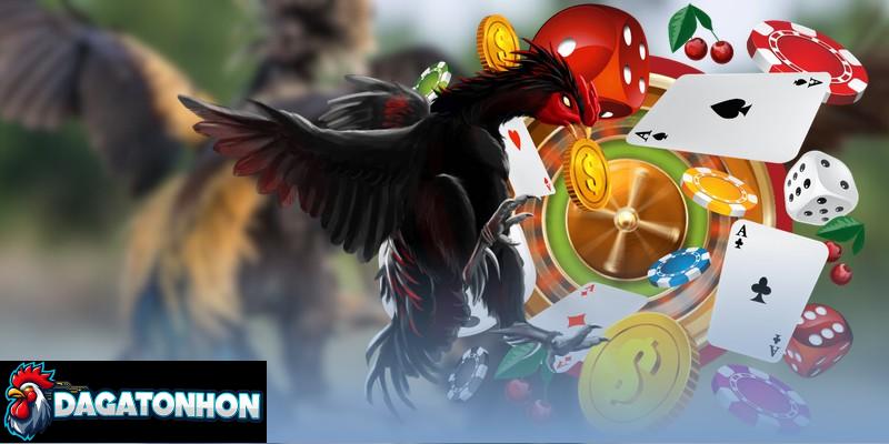 Luật Đá Gà Tonhon 2025