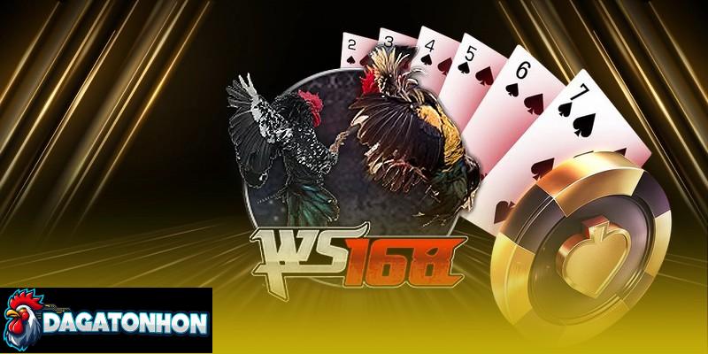 Lưu ý khi cá cược đá gà Tonhon qua mạng giúp tránh rủi ro