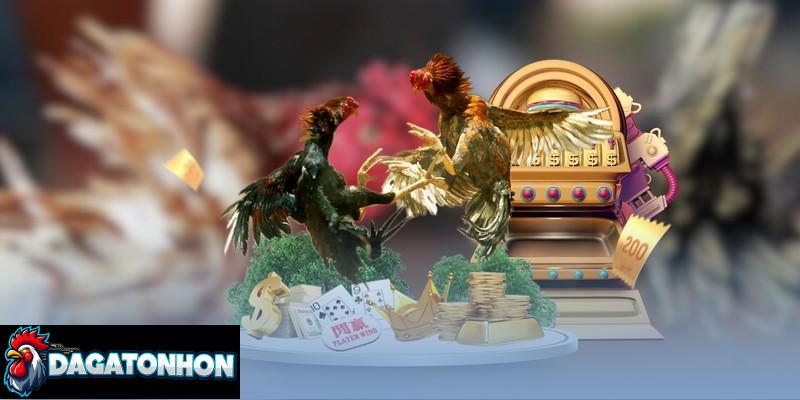 Nắm bắt các loại cược đá gà phổ biến tại Tonhon