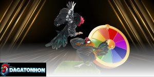 phân tích phong độ chiến kê Tonhon