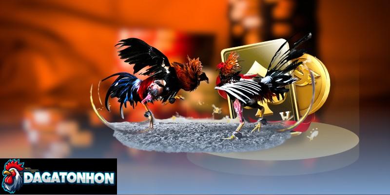 Quan sát kỹ trong 10–20 giây đầu trận để nhận định chiến kê