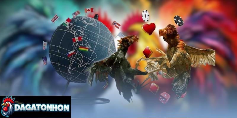 Quy định trọng tài đá gà Tonhon