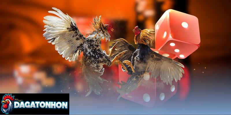 Tân thủ tham khảo lịch thi đấu để không bỏ lỡ các trận chọi kê