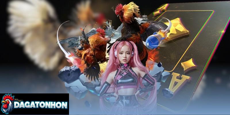 Thẩm định chiến kê để bắt kèo chuẩn xác khi chơi đá gà