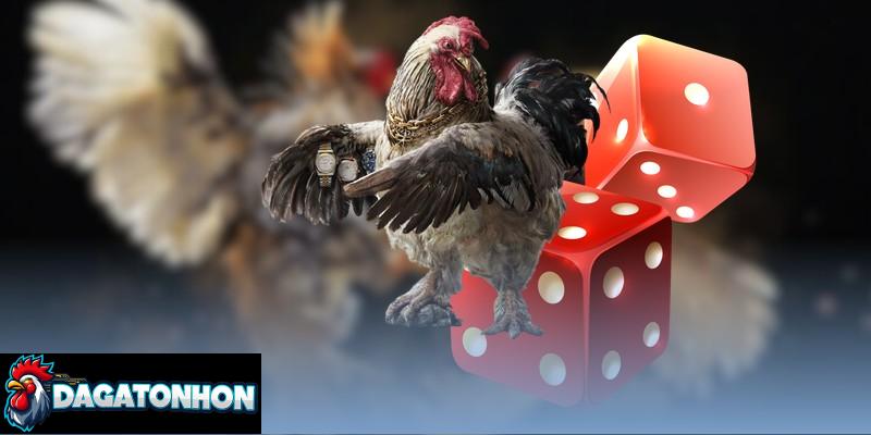 Thời gian một hiệp đấu đá gà Tonhon diễn ra nhanh