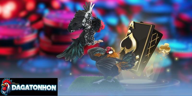 thời gian một hiệp đấu đá gà Tonhon