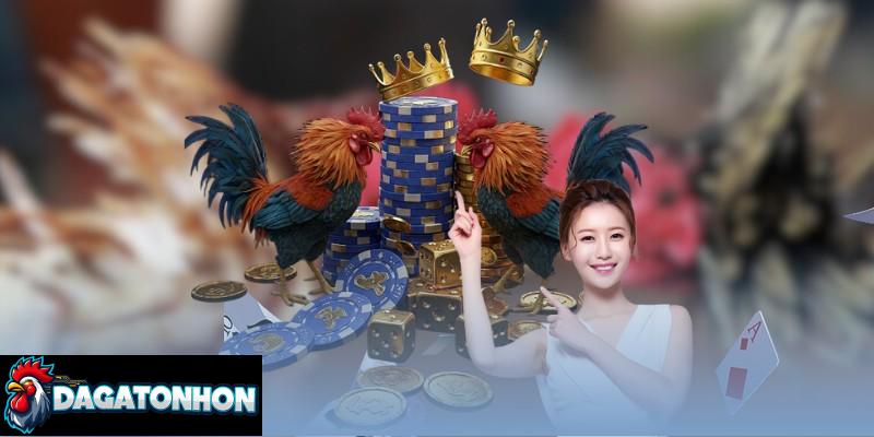 Top 10 gà Tonhon bất bại liên tiếp, chọn chiến kê chuẩn xác