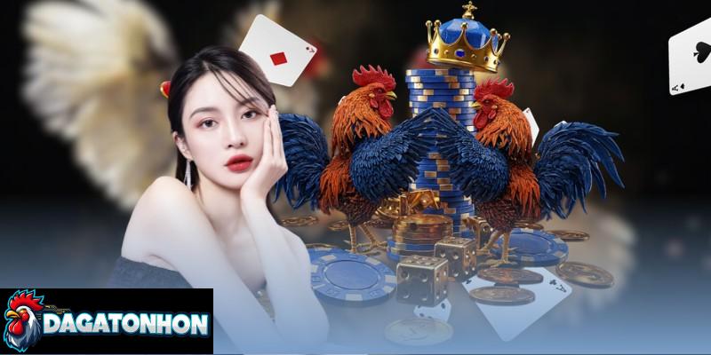 top 10 gà Tonhon bất bại liên tiếp