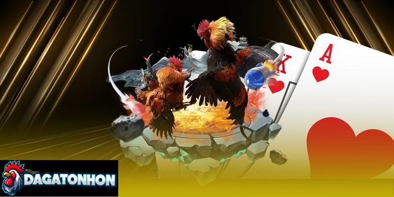 Top Nhà Cái Có Đá Gà Tonhon Uy Tín