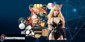 tỷ lệ cược đá gà Tonhon trực tuyến